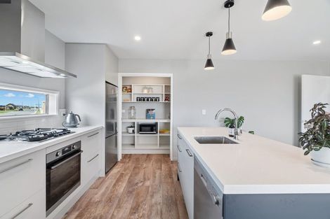 Photo of property in 41 Drylands Drive, Rolleston, 7614