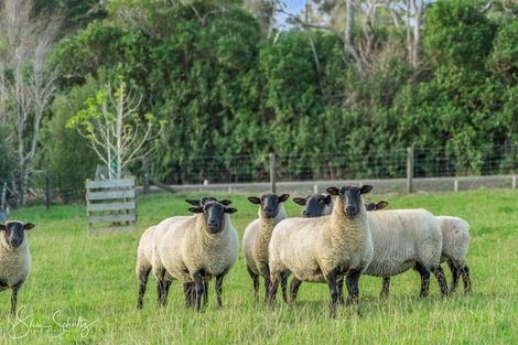 Photo of property in 86 Matakohe Wharf Road, Matakohe, 0593