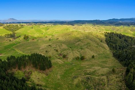 Photo of property in 31 Tarver Lane, Pikowai, Whakatane, 3194