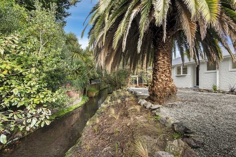 Photo of property in 6b Kaputone Place, Belfast, Christchurch, 8051