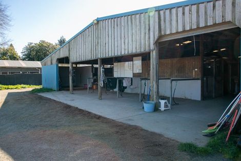 Photo of property in 49 Racecourse Road, Cambridge, 3493