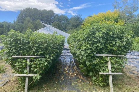 Photo of property in 98 Hawke Road, Orari, Geraldine, 7992