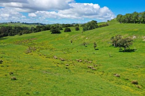 Photo of property in 156 Marohemo Road, Maungaturoto, 0583