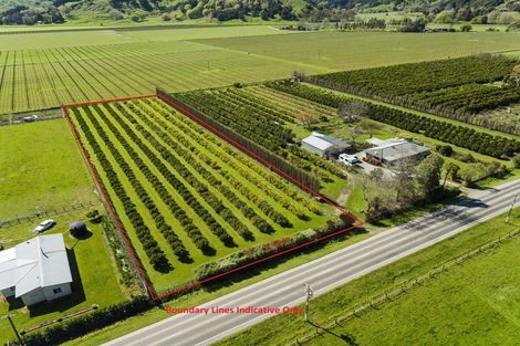 Photo of property in 1286 Matawai Road, Ormond, Gisborne, 4071