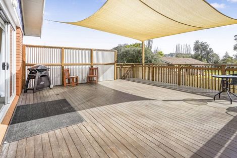 Photo of property in 125 Fitzroy Avenue, Fitzroy, Hamilton, 3206