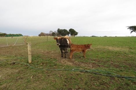 Photo of property in 251 Drysdale Road, Myross Bush, Invercargill, 9872