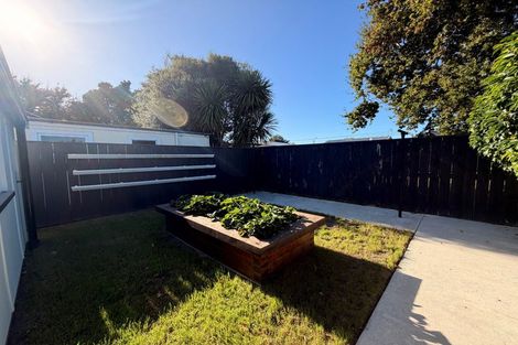 Photo of property in 19 Guy Avenue, Takaro, Palmerston North, 4410