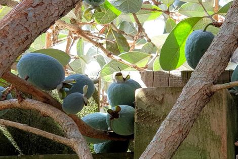 Photo of property in 26 Omagh Avenue, Papatoetoe, Auckland, 2025