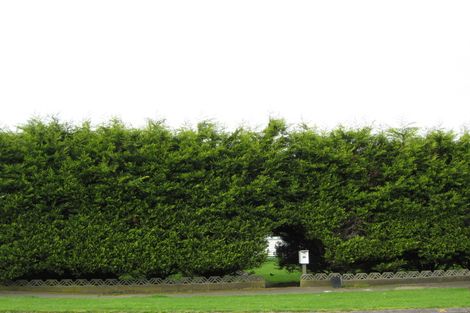 Photo of property in 36 Browne Street, Waitara, 4320