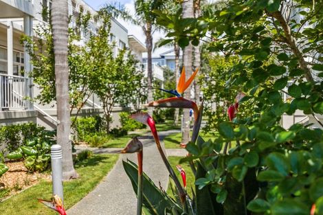 Photo of property in 73 Parkside Drive, Orewa, 0931