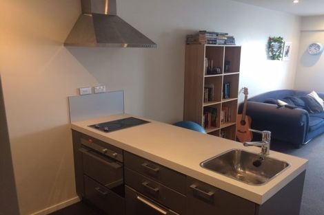 Photo of property in Soho Apartments, 1318/74 Taranaki Street, Te Aro, Wellington, 6011