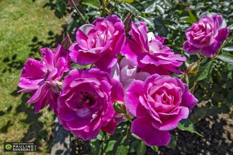 Photo of property in 9 Conifer Grove, Te Kamo, Whangarei, 0112