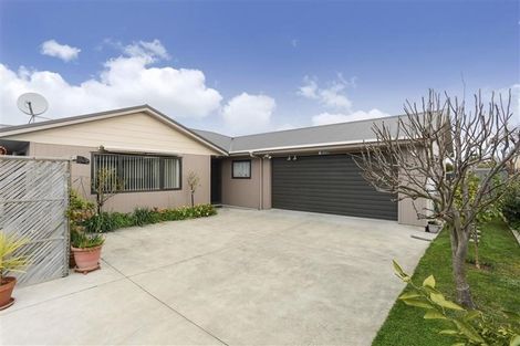 Photo of property in 915a Dufferin Street, Akina, Hastings, 4122