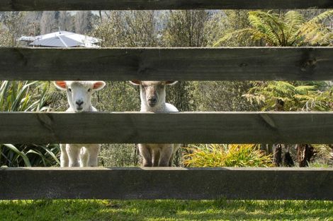 Photo of property in 17a Thorn Road, Lower Kaimai, Tauranga, 3171