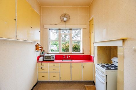 Photo of property in 45 Limbrick Street, Terrace End, Palmerston North, 4410