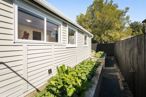 Photo of property in 25 Regent Street, Waihi, 3610