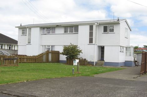 Photo of property in 58 Birdwood Road East, Pukekohe, 2120