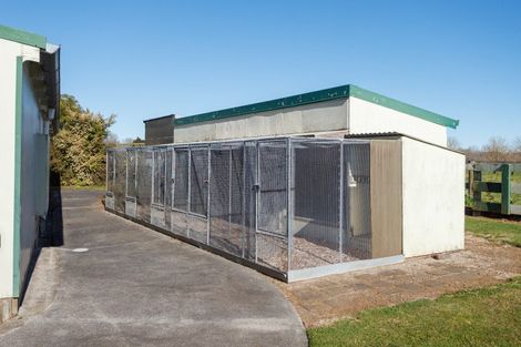 Photo of property in 428 Hinuera Road, Matamata, 3472