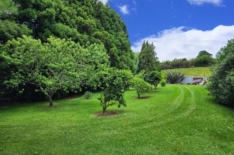 Photo of property in 314 Busby Road, Tahawai, Katikati, 3170