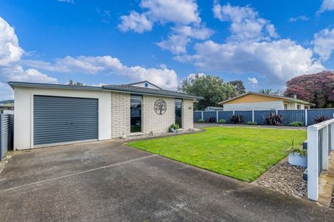 Photo of property in 43 Normanby Street, Woodville, 4920