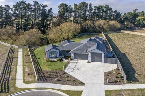 Photo of property in 6 Harrier Place, Amberley, 7410