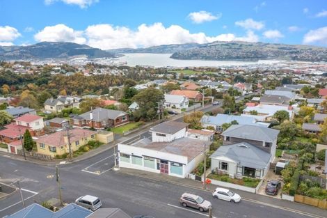 Photo of property in 125 Glenpark Avenue, Maryhill, Dunedin, 9011