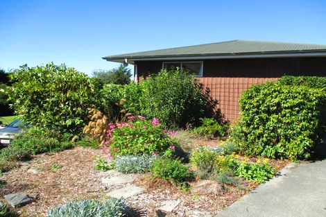 Photo of property in 24 Forest Road, Geraldine, 7930