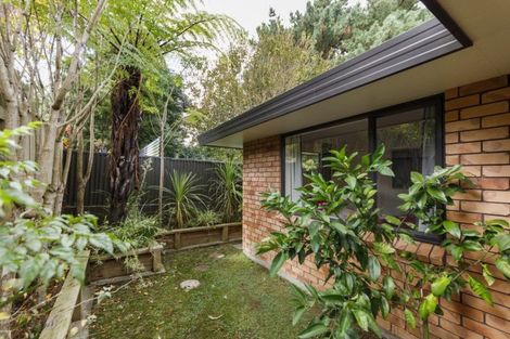 Photo of property in 28a Rainforth Street, Roslyn, Palmerston North, 4414