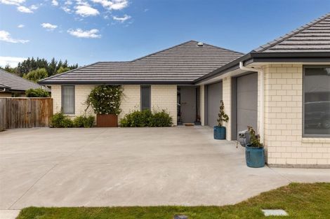 Photo of property in 15 Maeburn Street, Witherlea, Blenheim, 7201