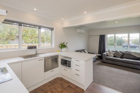 Photo of property in 19 Hannan Street, Levin, 5510