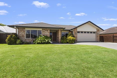 Photo of property in 35 Matipo Street, Matamata, 3400