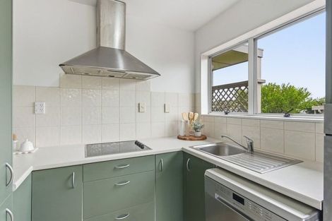 Photo of property in 14 Solway Street, Levin, 5510