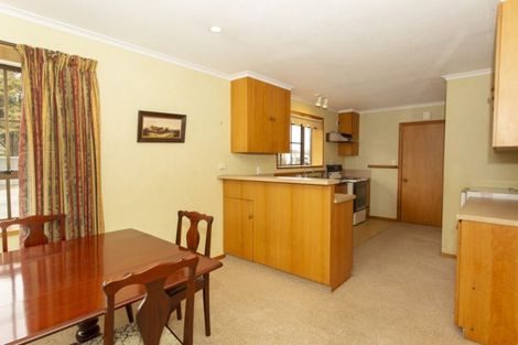 Photo of property in 19 Grigg Street, Ashburton, 7700