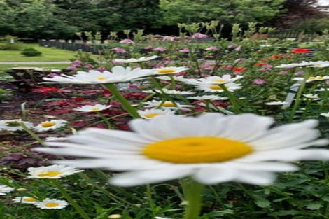 Photo of property in 18 Half Mile Road, Tuatapere, 9620