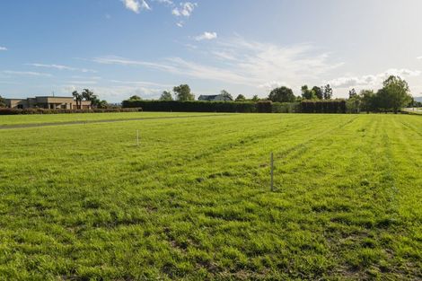 Photo of property in 4 Allan Avenue, Makauri, 4071