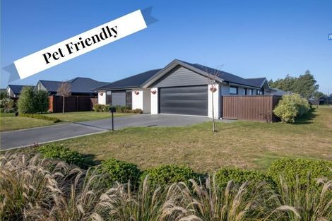 Photo of property in 84 Ridgeway Avenue, Rolleston, 7615