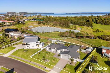 Photo of property in 19 Athenree Heights, Athenree, Katikati, 3177