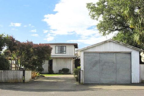 Photo of property in 12a Bibby Street, Waipawa, 4210