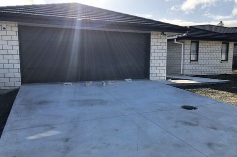 Photo of property in 19 Ribbonwood Close, Te Kauwhata, 3710