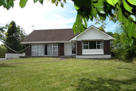 Photo of property in 41 Kowhai Street, Hamilton Lake, Hamilton, 3204