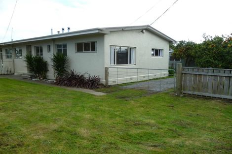 Photo of property in 1024 Totara Street, Mahora, Hastings, 4120