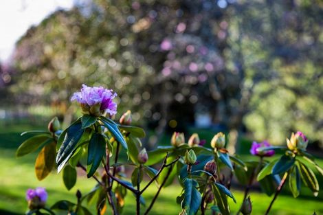 Photo of property in 48 Kairau Road West, Sentry Hill, New Plymouth, 4373