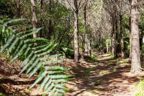 Photo of property in 2 Sarona Park Drive, Omanawa, 3171