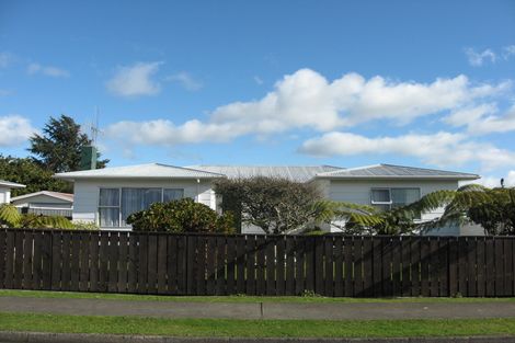 Photo of property in 14 Stirling Street, Levin, 5510
