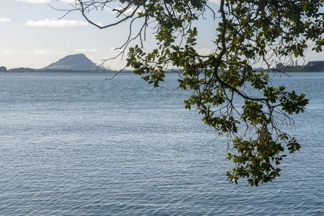 Photo of property in 238 Maungatapu Road, Maungatapu, Tauranga, 3112