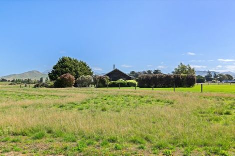 Photo of property in 36 Seddon Street, Ward, Seddon, 7285