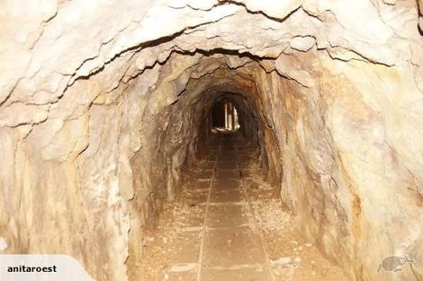 Photo of property in 3 Moresby Street, Karangahake, Paeroa, 3674