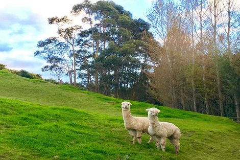 Photo of property in 306 Pahoia Road, Whakamarama, Tauranga, 3172