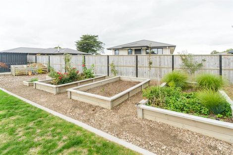 Photo of property in 19 George Street, Bulls, 4818