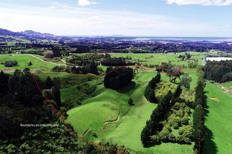 Photo of property in 348b Rea Road, Tahawai, Katikati, 3178